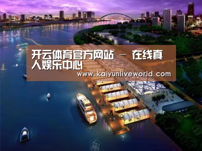 案例展示八