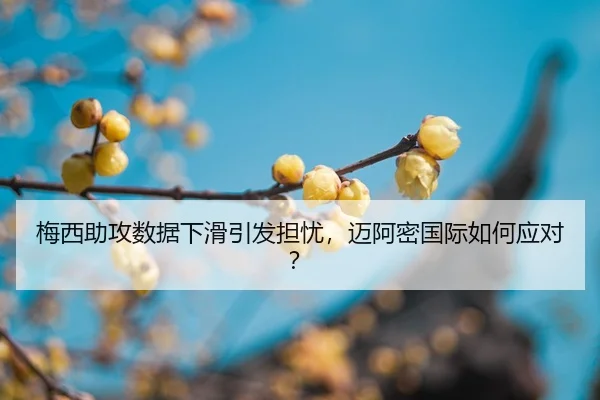 mei-xi-zhu-gong-shu-ju-xia-hua-yin-fa-dan-you-mai-a-mi-guo-ji-ru-he-ying-dui-2-116.jpg