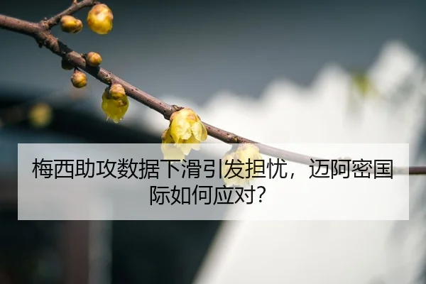 mei-xi-zhu-gong-shu-ju-xia-hua-yin-fa-dan-you-mai-a-mi-guo-ji-ru-he-ying-dui-3-577.jpg