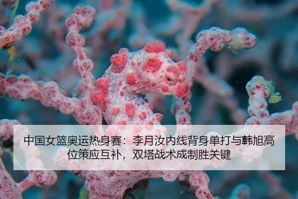 中国女篮奥运热身赛：李月汝内线背身单打与韩旭高位策应互补，双塔战术成制胜关键